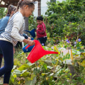 How Businesses in the Bronx, New York Support Local Charities and Organizations
