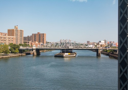 What Types of Businesses are Most Popular in the Bronx, New York?